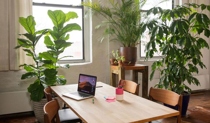 Ace Spaces | Work. Connect. Grow.